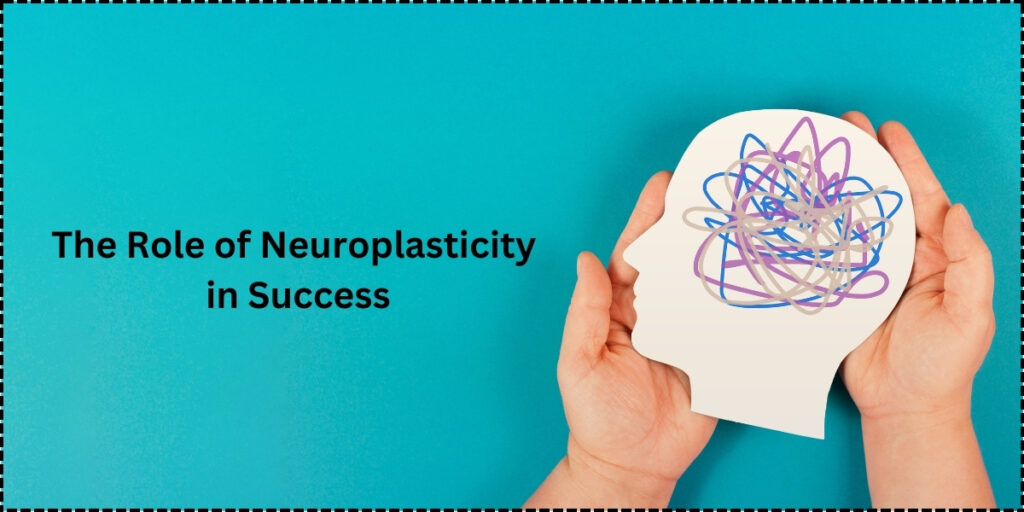 The Role of Neuroplasticity in Success - La winspire